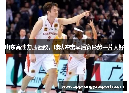 山东高速力压强敌，球队冲击季后赛形势一片大好